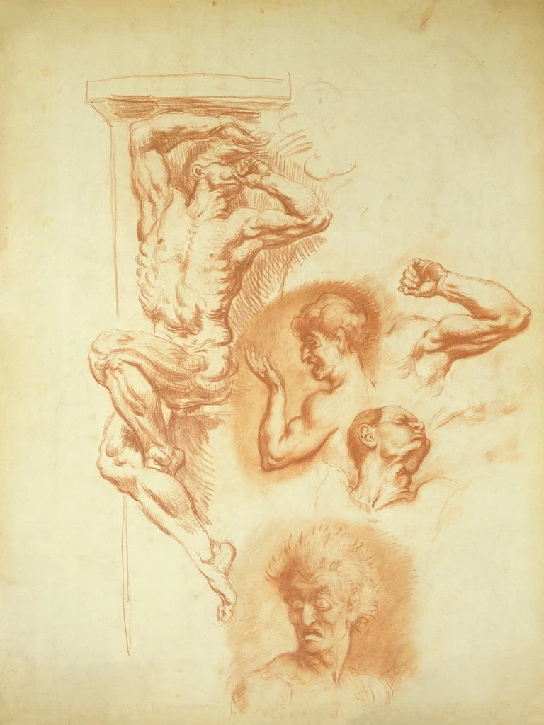 Testa di uomo